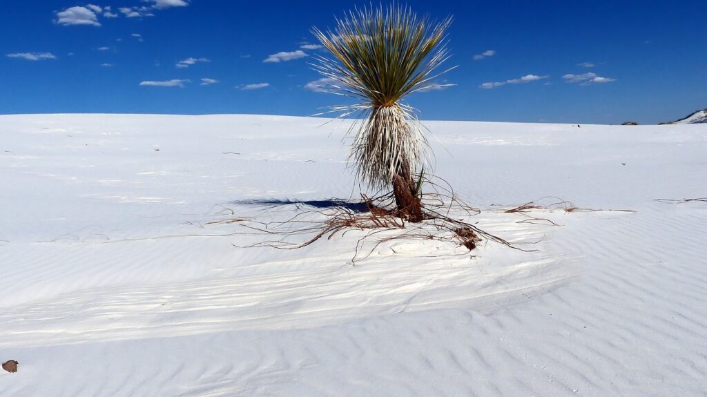 desert-sands-3535787_1280